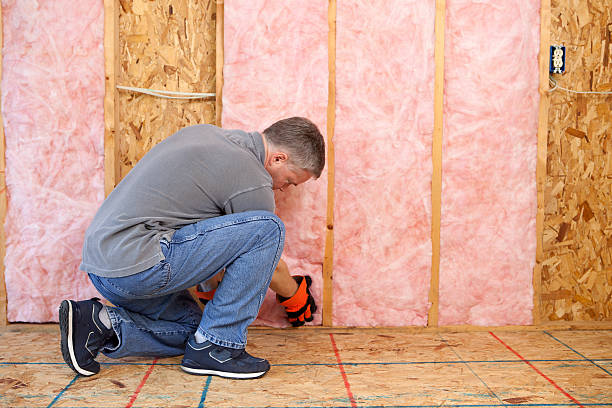Best Commercial Insulation in Danville, AR